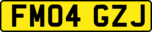 FM04GZJ