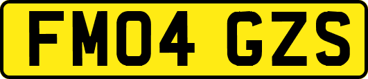 FM04GZS