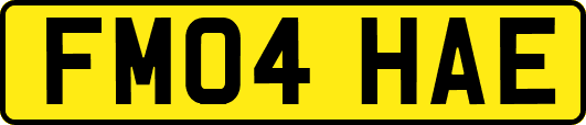 FM04HAE
