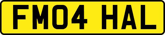 FM04HAL