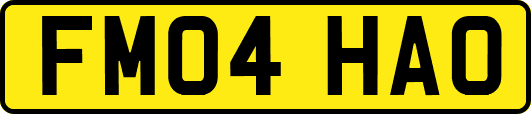 FM04HAO