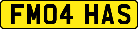 FM04HAS