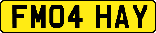 FM04HAY
