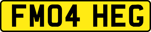 FM04HEG