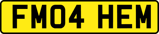 FM04HEM