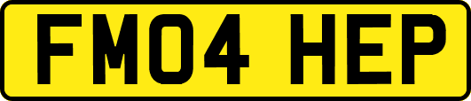 FM04HEP
