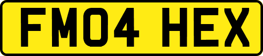 FM04HEX