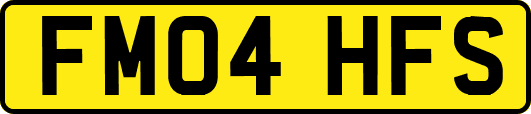 FM04HFS