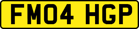 FM04HGP