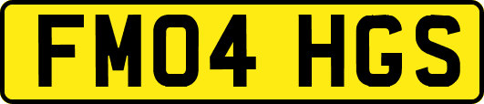 FM04HGS