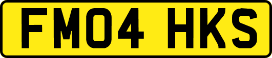 FM04HKS