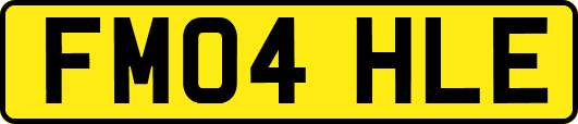 FM04HLE