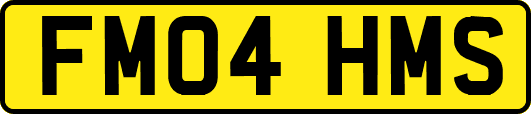 FM04HMS