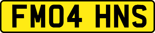 FM04HNS