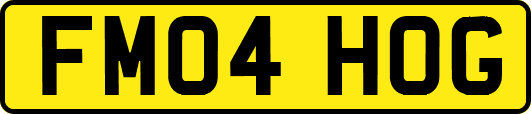 FM04HOG