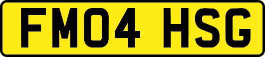 FM04HSG