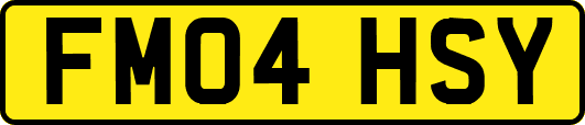 FM04HSY