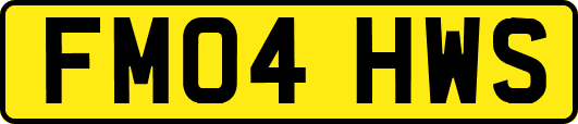 FM04HWS