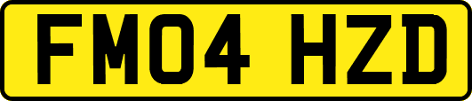 FM04HZD