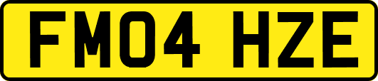 FM04HZE