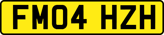 FM04HZH