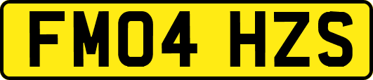 FM04HZS