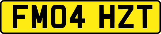 FM04HZT