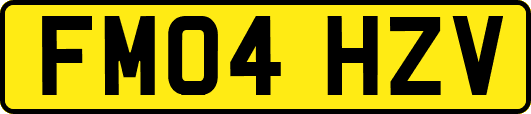 FM04HZV