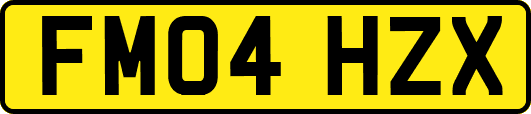 FM04HZX