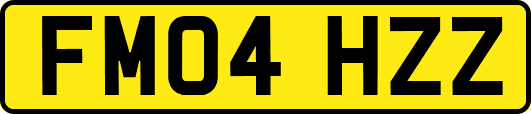 FM04HZZ