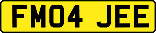 FM04JEE