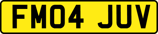 FM04JUV