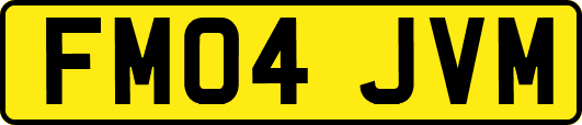 FM04JVM