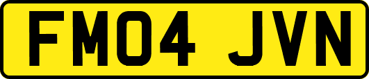 FM04JVN