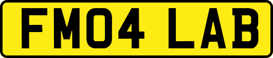 FM04LAB
