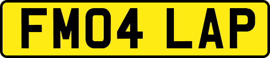 FM04LAP