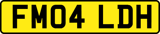 FM04LDH