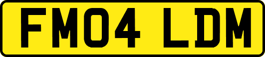 FM04LDM