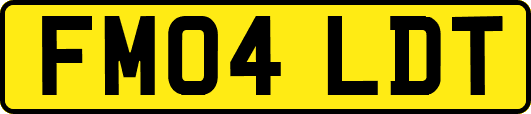 FM04LDT