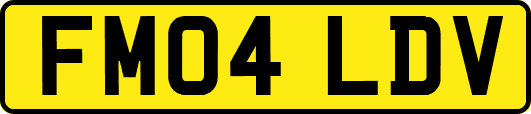 FM04LDV