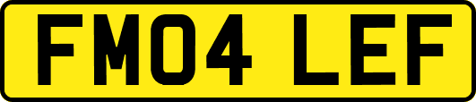 FM04LEF