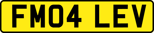 FM04LEV