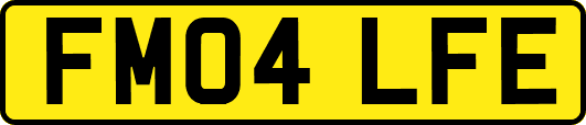 FM04LFE