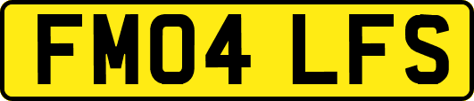 FM04LFS