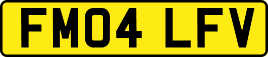 FM04LFV