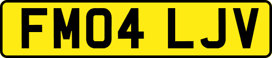 FM04LJV