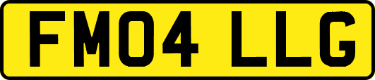 FM04LLG