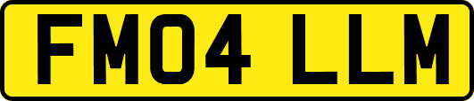 FM04LLM
