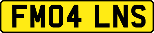 FM04LNS