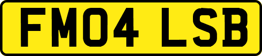 FM04LSB